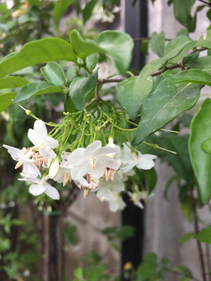 Maesot Siri Hotel Mae Sot Luaran gambar